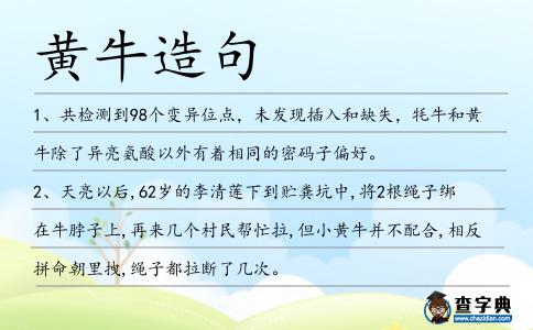 黃牛造句
