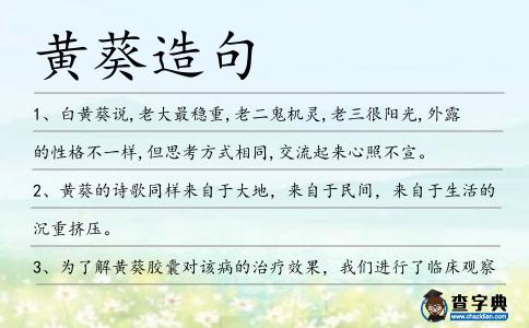 黃葵造句