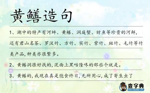 黃鱔造句