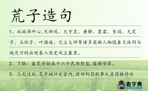 荒子造句