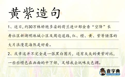 黃紫造句