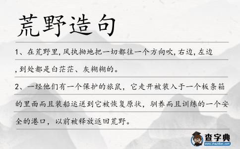 荒野造句