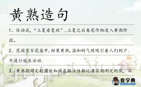 黃熟造句