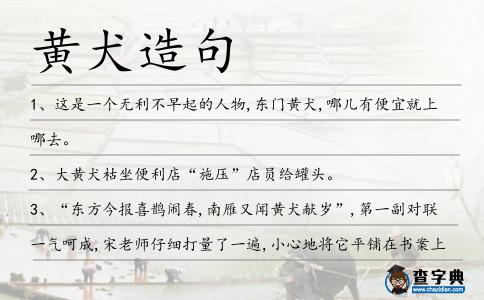 黃犬造句
