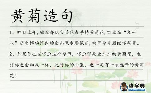 黃菊造句