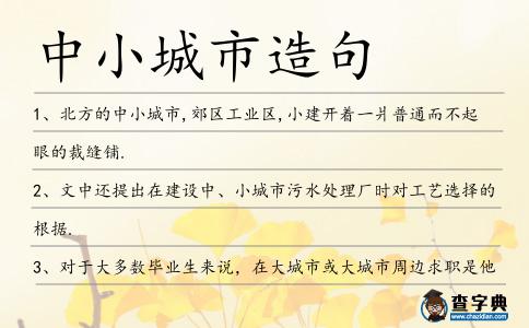 中小城市造句