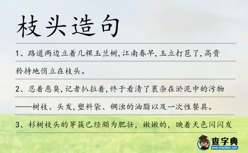 枝頭造句