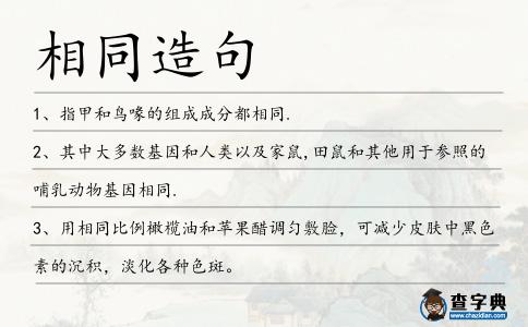 相同造句