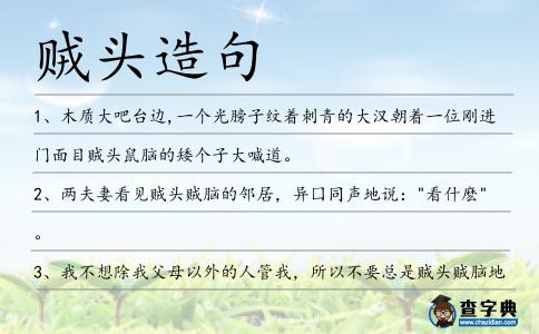 賊頭造句