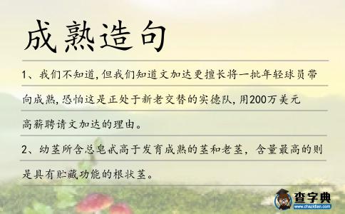 成熟造句