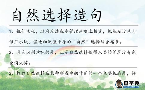 自然選擇造句
