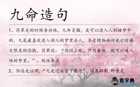 九命造句
