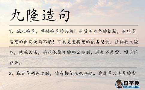 九隆造句
