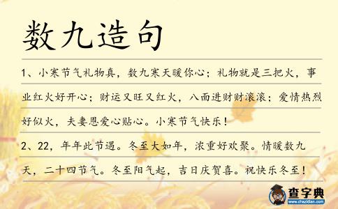 數九造句