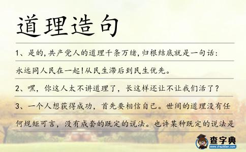 道理造句