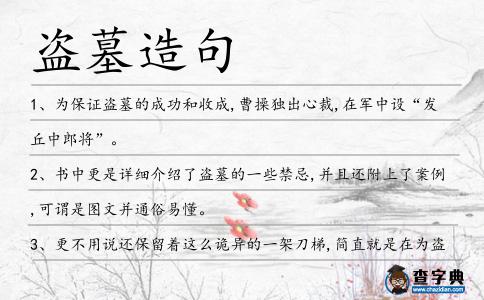 盜墓造句