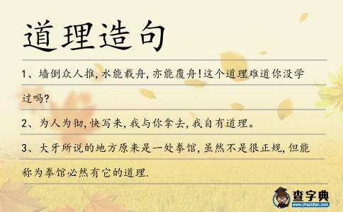 道理造句