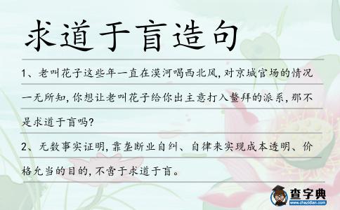 求道于盲造句