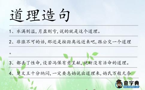 道理造句