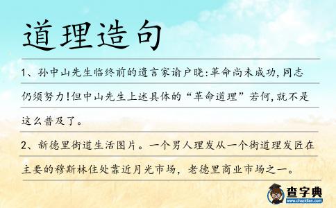 道理造句