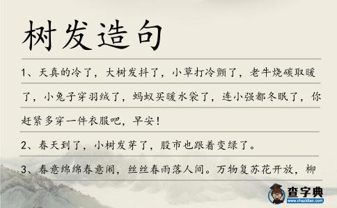 樹發造句