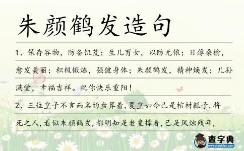 朱顏鶴發造句