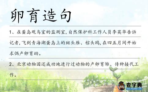 卵育造句