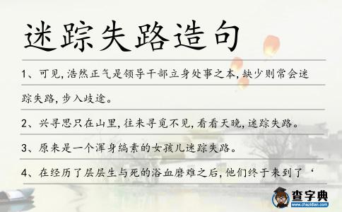 迷蹤失路造句