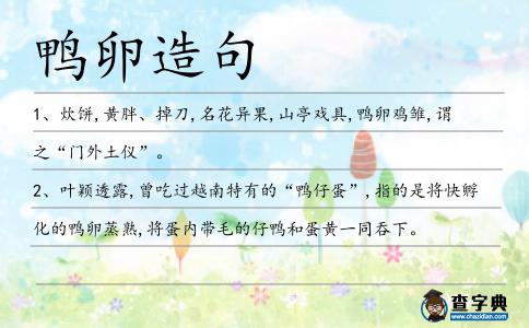 鴨卵造句