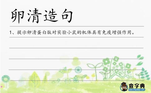 卵清造句
