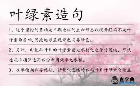 葉綠素造句