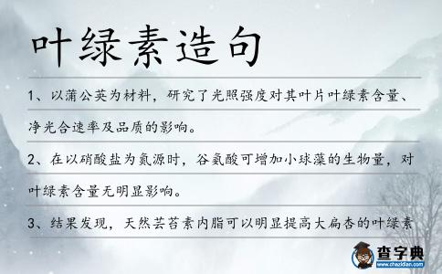 葉綠素造句
