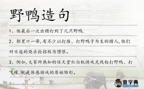 野鴨造句