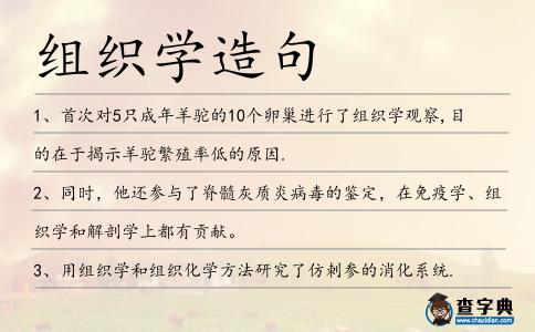 組織學造句