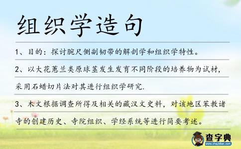 組織學造句
