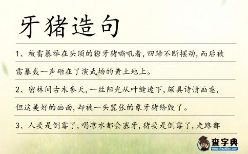 牙豬造句