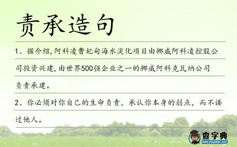 責承造句