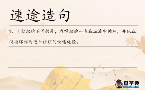 速途造句