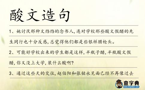 酸文造句