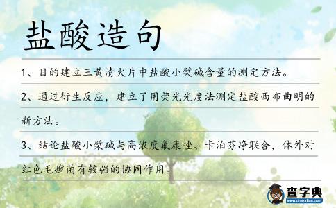 鹽酸造句
