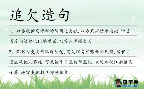 追欠造句