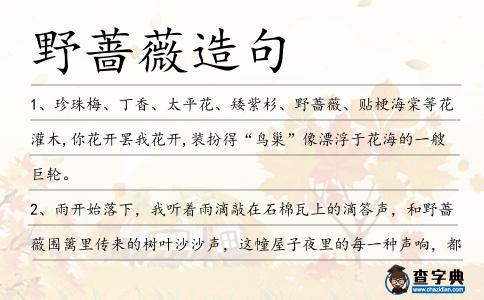 野薔薇造句