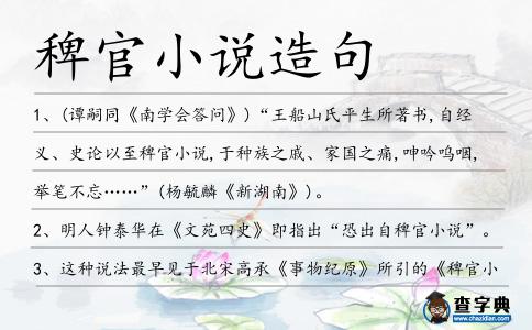 稗官小說造句