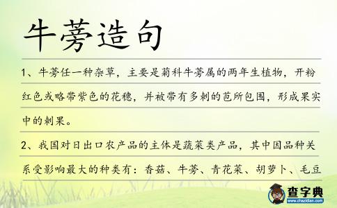 牛蒡造句