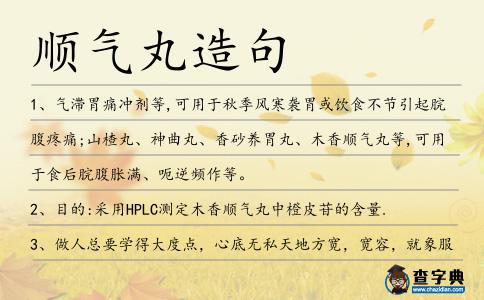 順氣丸造句