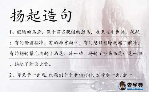 揚起造句