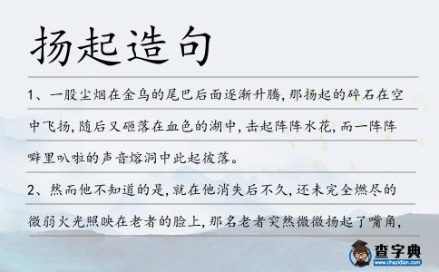 揚起造句