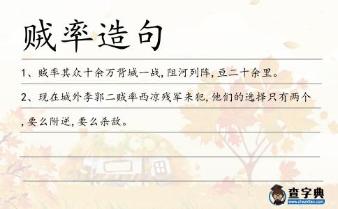 賊率造句