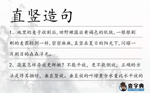 直豎造句