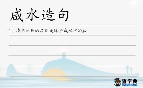 咸水造句